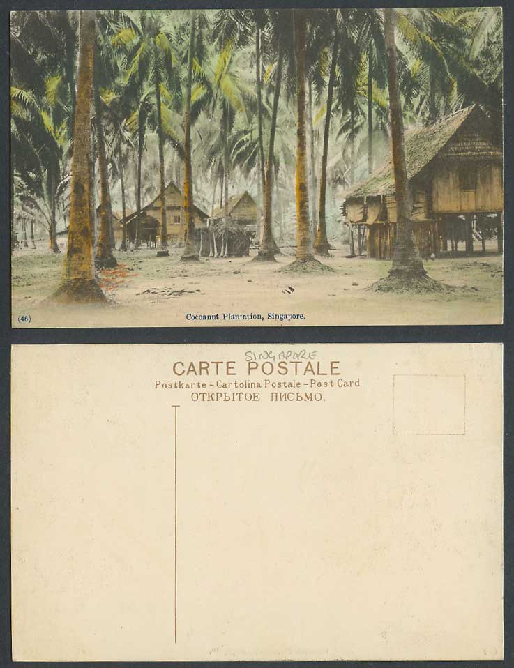 Singapore Old Hand Tinted Postcard Malay Houses Coconut Cocoanut Plantation Palm