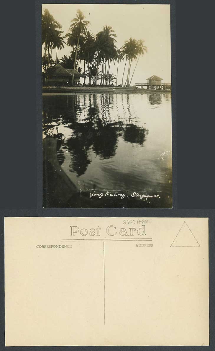Singapore Old Real Photo Postcard Tanjong Katong, Palm Trees Reflection in Water