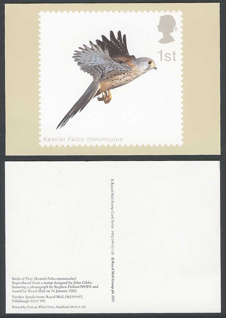 PHQ Card Birds of Prey Kestrel Falco tinnunculus Bird, J Gibbs S Dalton Postcard