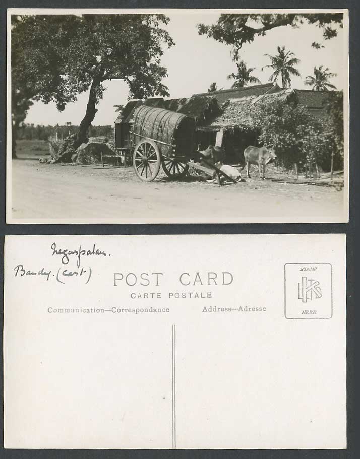 Palau Negara Palau Old Real Photo Postcard Bandy Cart Cattle Native House Street