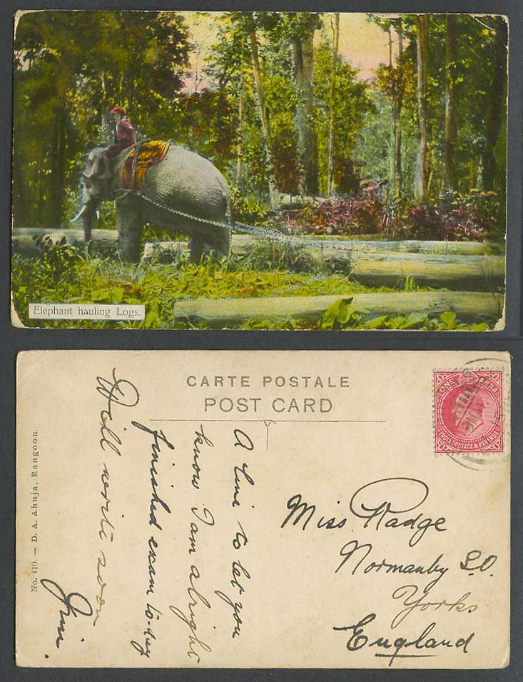 Burma India KE7 1a 1911 Old Postcard Elephant Hauling Logs, Native Rider Forest