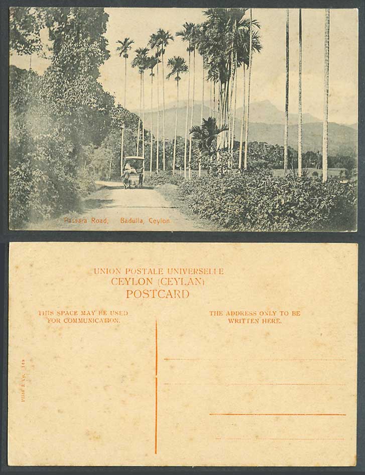 Ceylon Old Postcard Passara Road Badulla Palm Trees Street Scene Cart, Plate 149