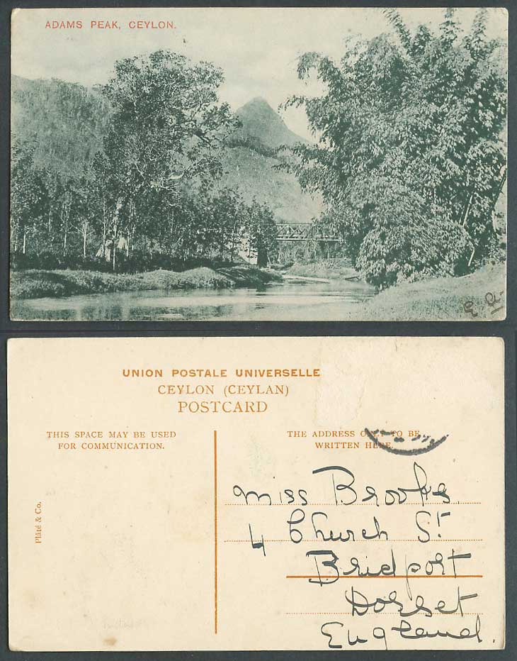 Ceylon Old Postcard Adams Peak from Maskeliya, Across Forest Bridge, River Scene