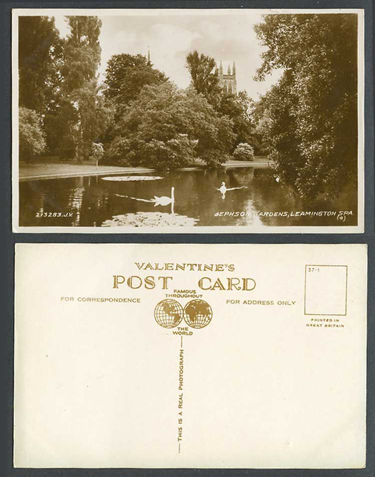Leamington Spa Jephson Gardens Swans Birds Lake Warwick. Old Real Photo Postcard