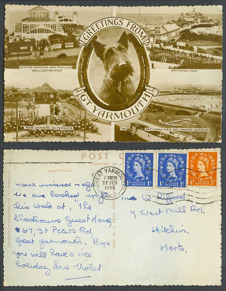 Great Yarmouth 1958 Old Postcard Dog Wellington & Britannia Piers Anchor Gardens