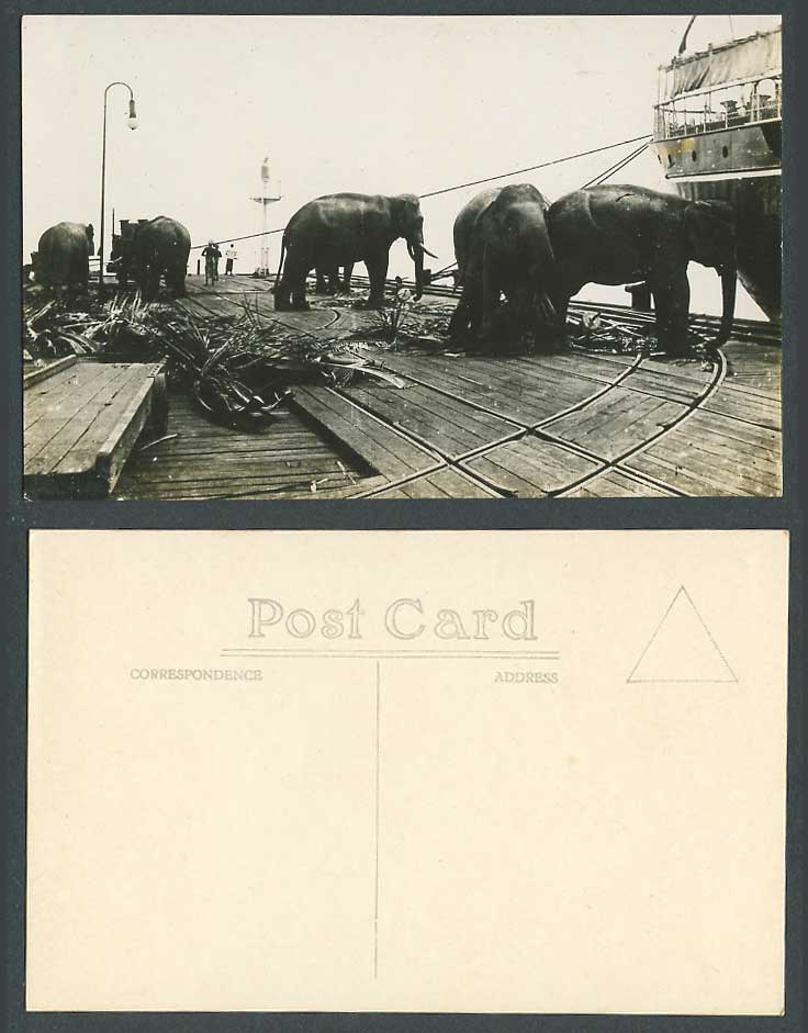 Singapore ELEPHANTS at Work on SHIP BOAT Malaya Old Real Photo Postcard Elephant