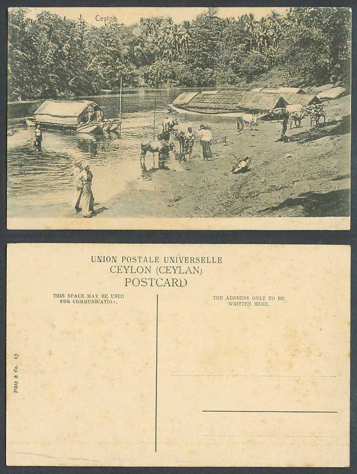 Ceylon Old Postcard River Scene Ratnapura Native Sampans Boats Houseboats, Plate