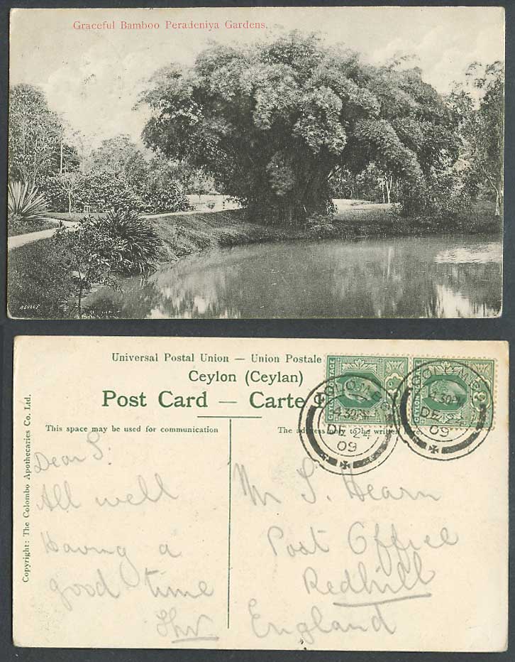 Ceylon KE7 3c x 2 1909 Old Postcard Graceful Bamboo Peradeniya Gardens Lake Road