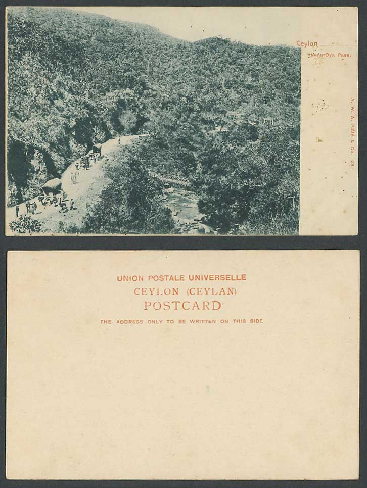 Ceylon Old UB Postcard Nanu-Oya Pass, Nuwara Eliya Bridge Bullock Carts & Street