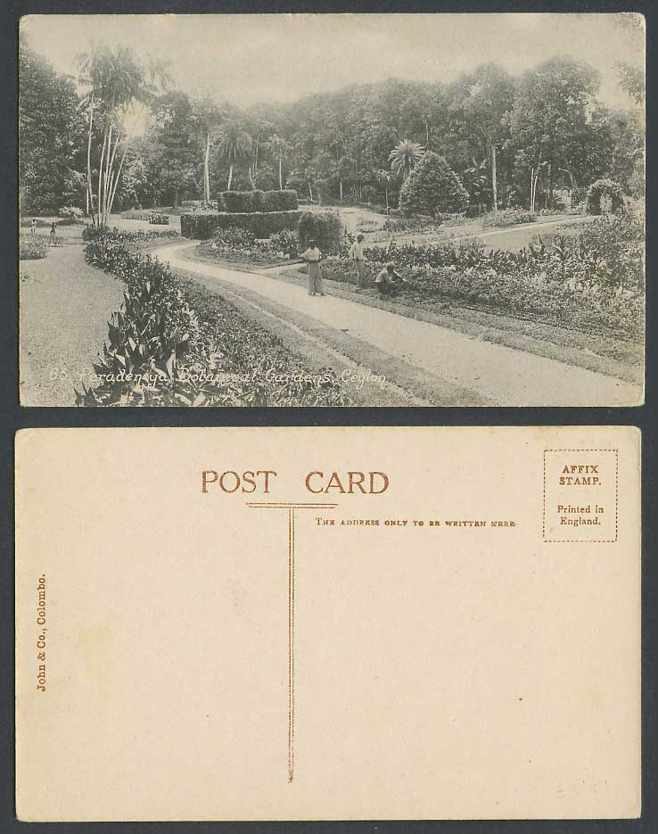 Ceylon Old Postcard Peradeniya Botanical Gardens Botanic Garden John &Co Colombo
