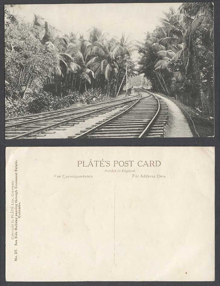 Ceylon Old Postcard Sea Side Railway Passing Cocoanut Estate, Colombo, Railroads