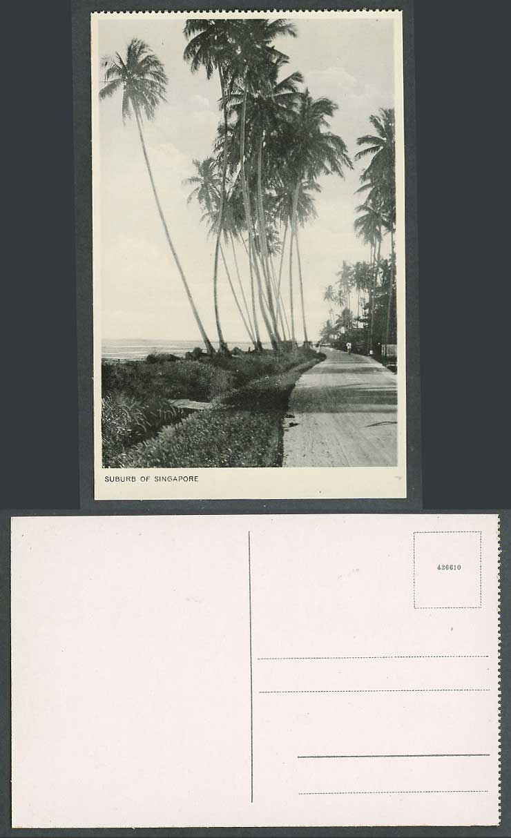 Singapore Suburb Old Postcard Coastal Street Scene, Palm Trees, Bridge, Panorama