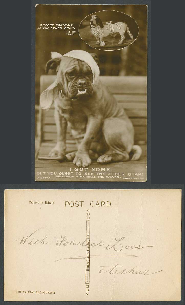 Dachshund German Sausage Dog Bulldog Bull Dogs Bandaged, I Got Some Old Postcard