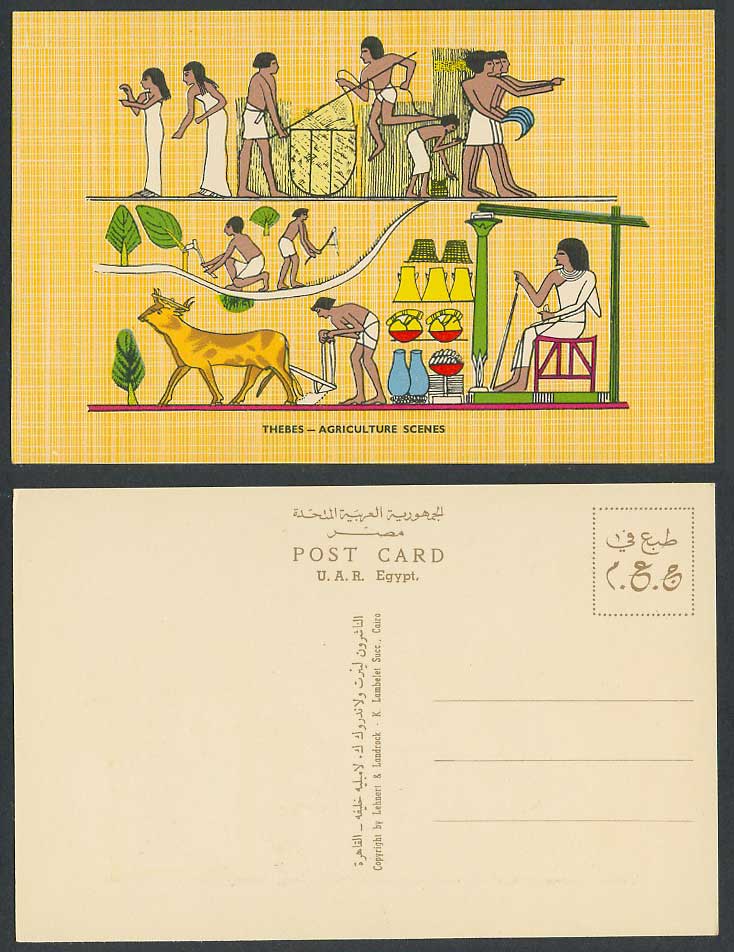 Egypt Old Postcard Thebes Agriculture Scenes Cattle Plough Egyptian Hieroglyphic