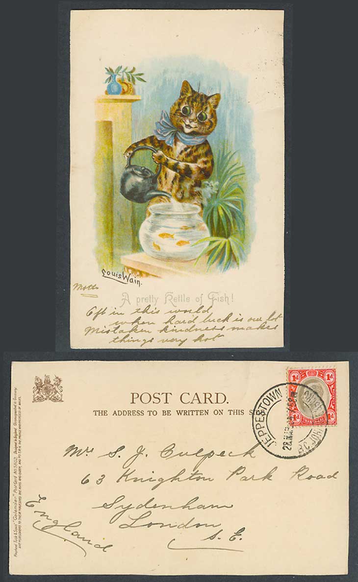 LOUIS WAIN Signed Cat Pretty Kettle Fish Transvaal 1d 1904 Old Tucks UB Postcard