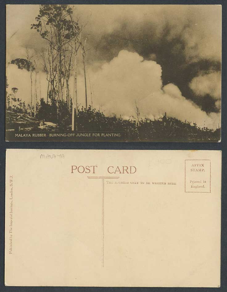 Singapore Old Postcard Malaya Rubber Burning Off Jungle for Planting Trees Smoke
