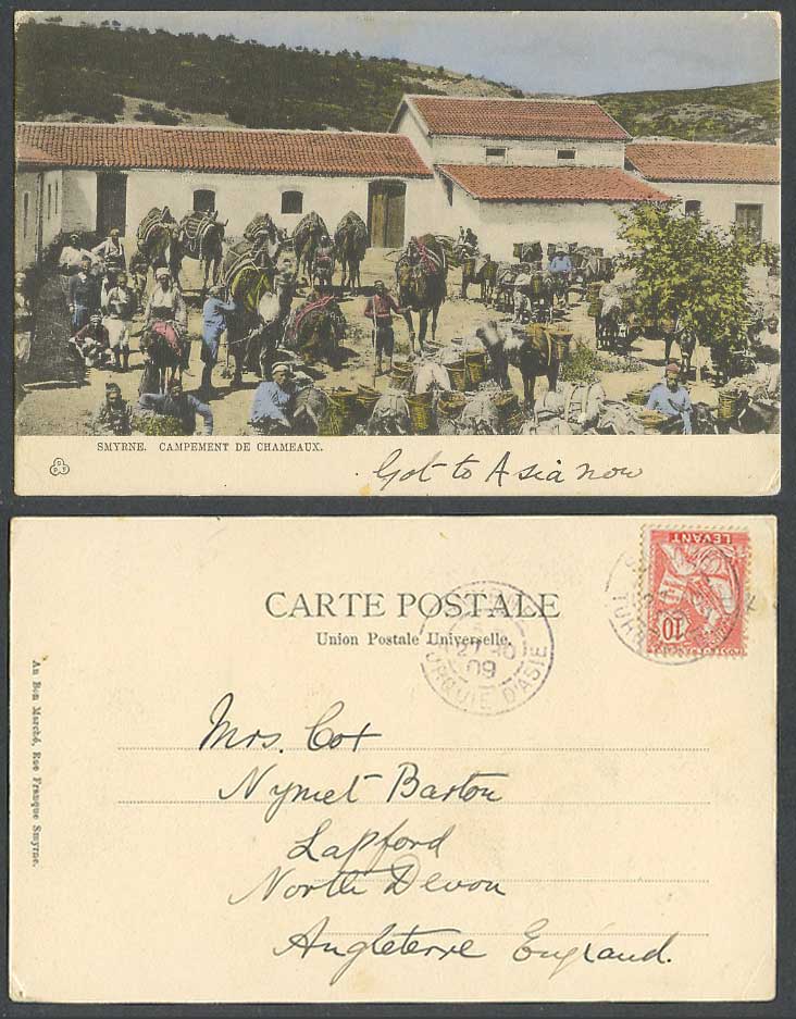 Turkey Smyrne Smyrna, Levant 1909 Old Postcard Camel Camp, Campement de Chameaux