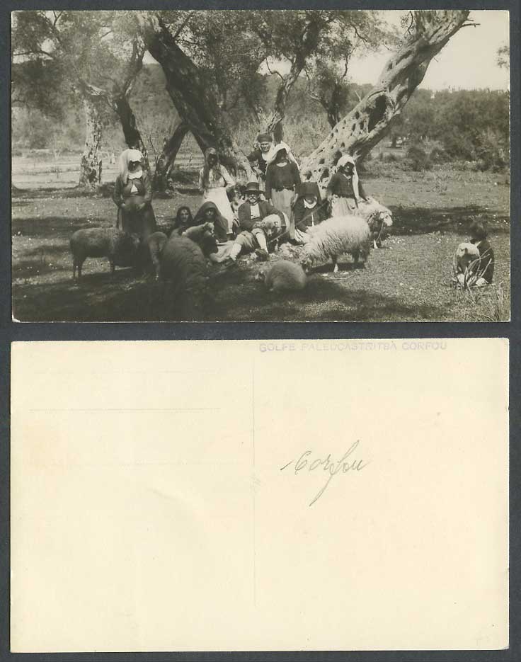 Greece Old Postcard Corfu Golfe Paleocastritsa Corfou Palaiokastritsa Gulf SHEEP