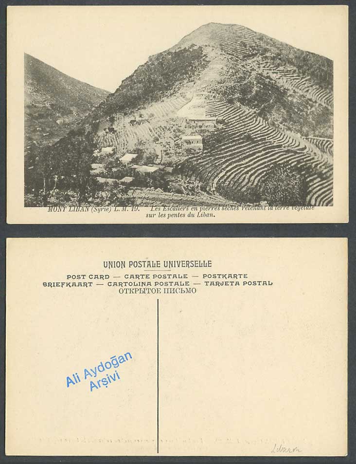 Lebanon Old Postcard Mount Mont Liban Dry Stones Stairs Terrace Vegetable Slopes