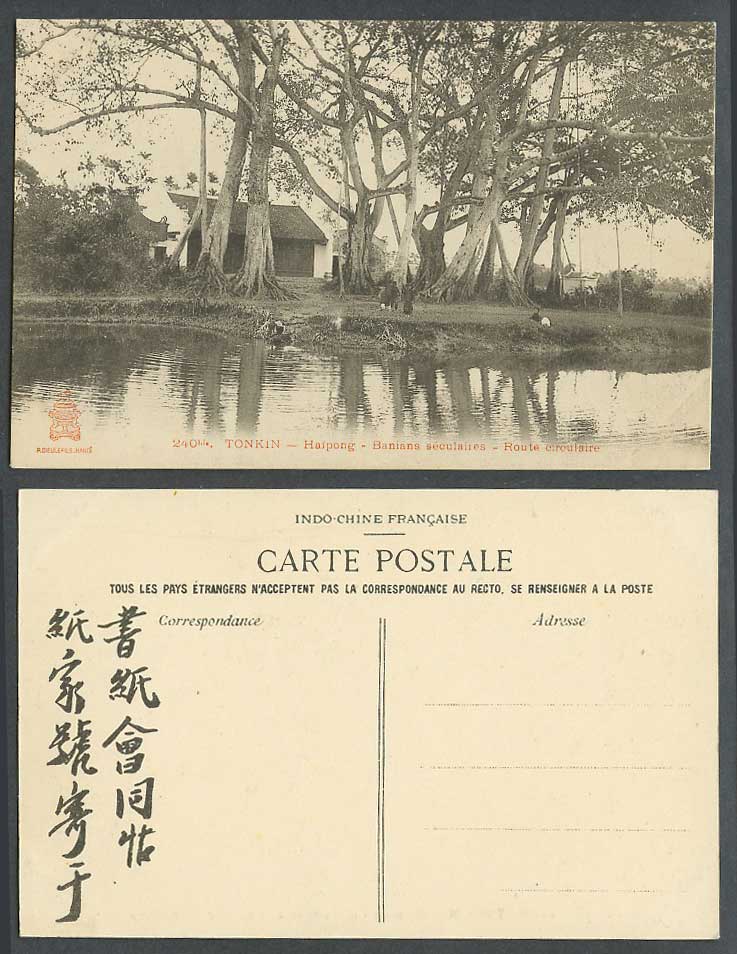 Indo-China Old Postcard Tonkin Haiphong Banians S. Banyan Trees Route circulaire
