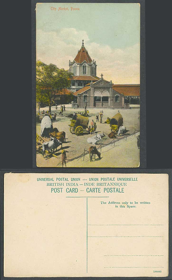 India Old Colour Postcard City Market Poona Pune, Bullock Carts Cattle Oxen Bull