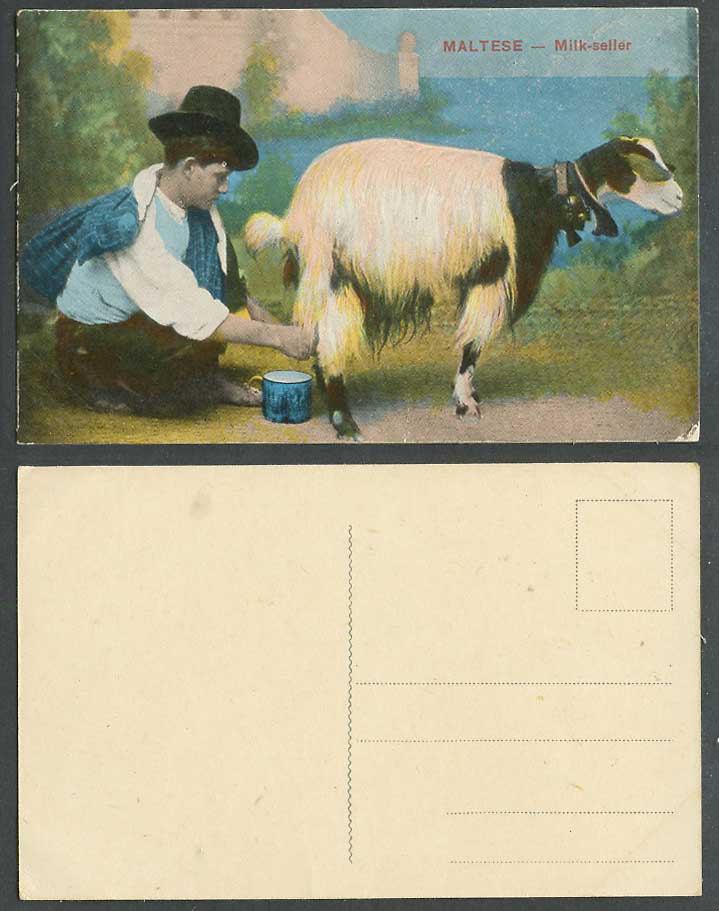 Malta Old Colour Postcard Maltese Milk Seller,Vendor Milkman Milking Goat Sheep