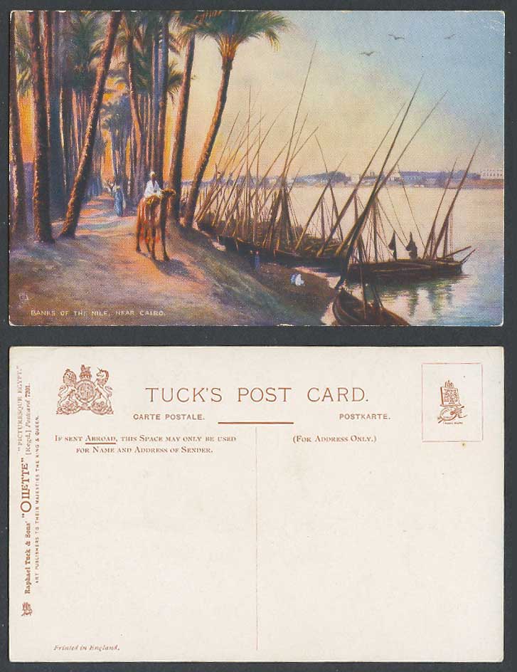 Egypt Old Tuck's Postcard Cairo, Banks of The Nile Nil River Scene, Boats, Camel