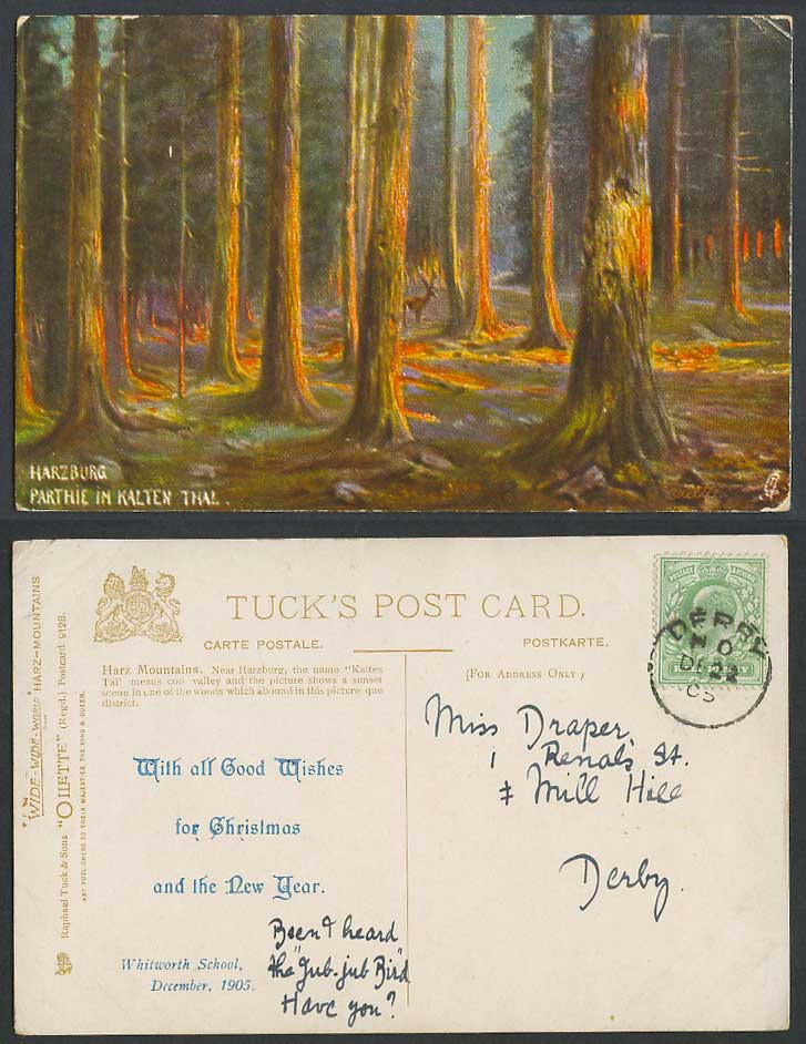 Germany 1905 Old Tuck's Postcard Harzburg Parthie in Kalten Thal Deer Forest ART