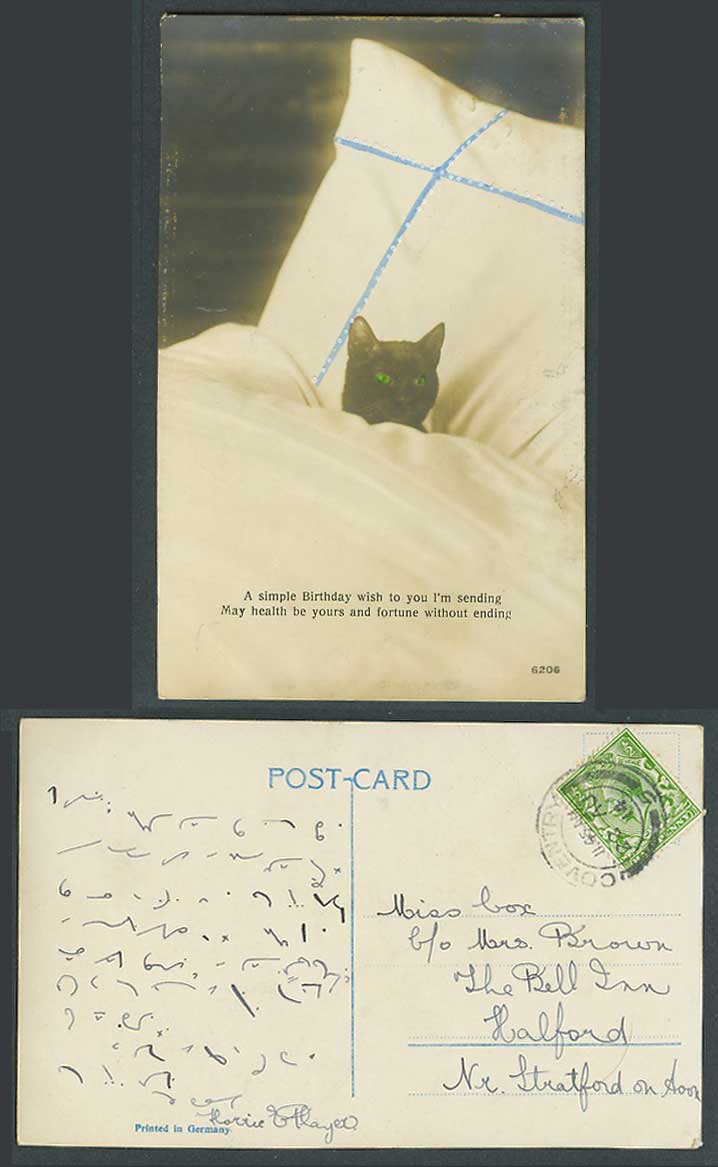 Black Cat Kitten, Green Eyes, Pillow, Birthday Wish 1914 Old Real Photo Postcard