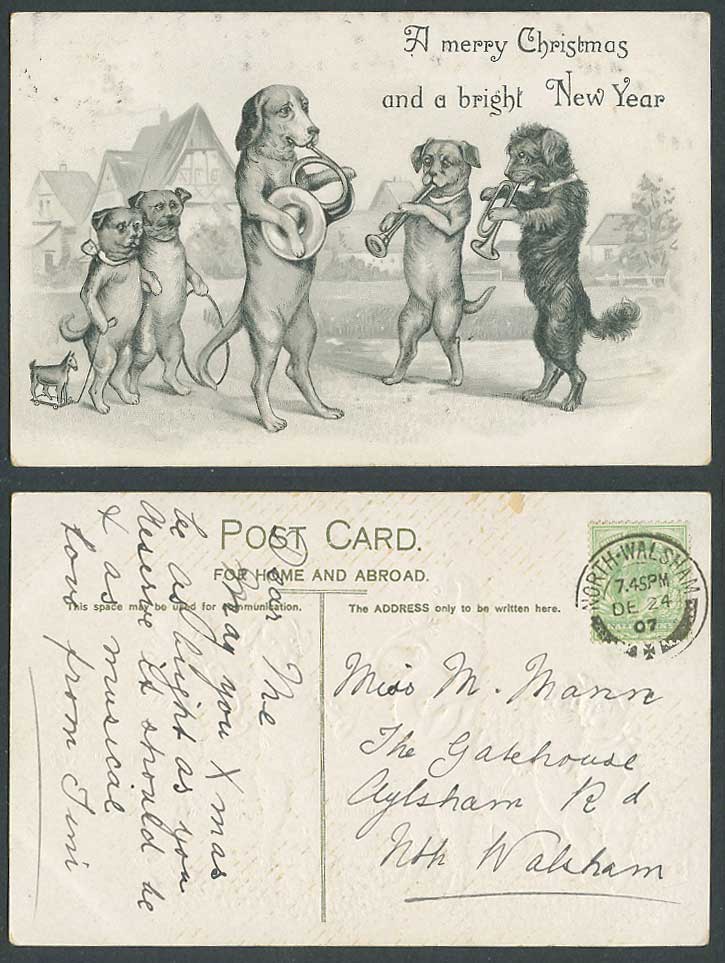 Dog Dogs Puppy Puppies Trumpet Music, Merry Christmas New Year 1907 Old Postcard