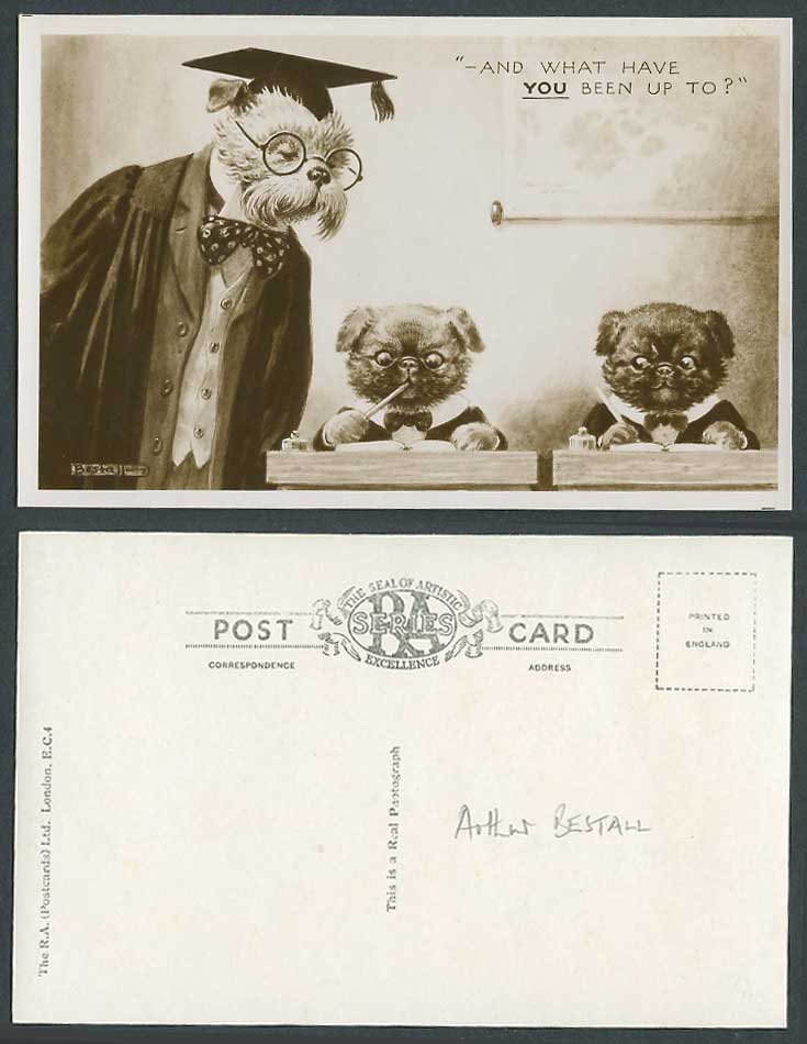 Bestall Artist Signed Old Postcard Dog Dogs Puppies And What Have you Been Up To