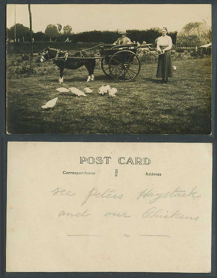 Pony Horse Drawn Cart Man Woman Chickens Birds Haystacks Old Real Photo Postcard