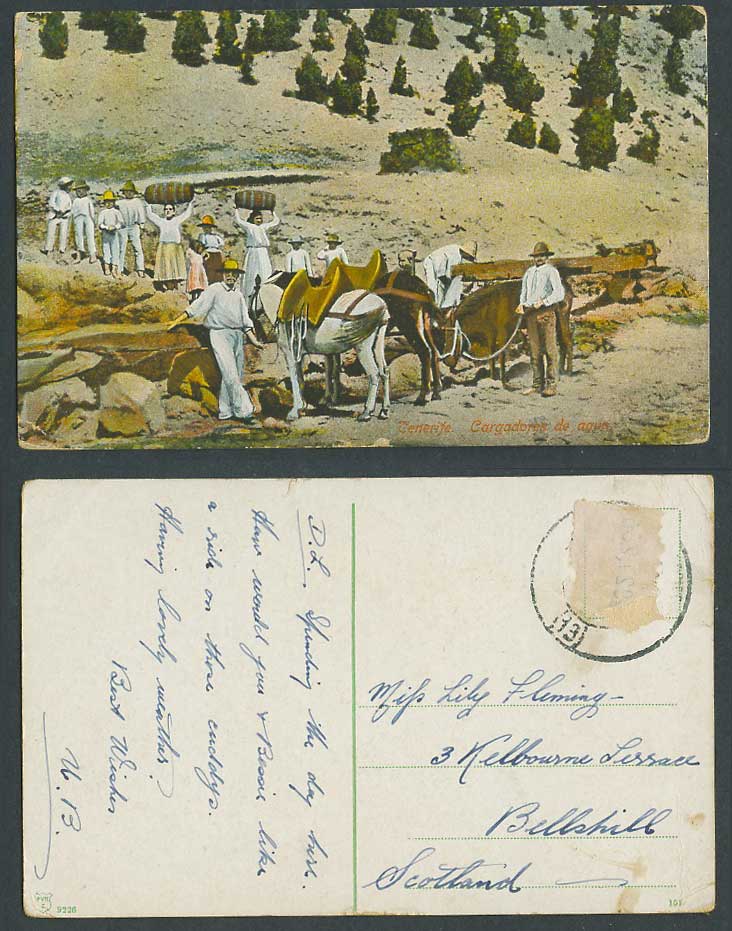 Spain Old Postcard Tenerife, Women Carrying Water Barrels Water Carriers, Horses