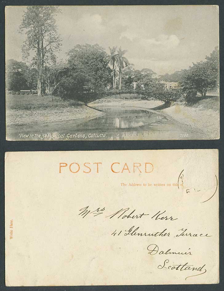India Old Postcard View in Zoo Zoological Gardens Calcutta, Bridge & River Scene