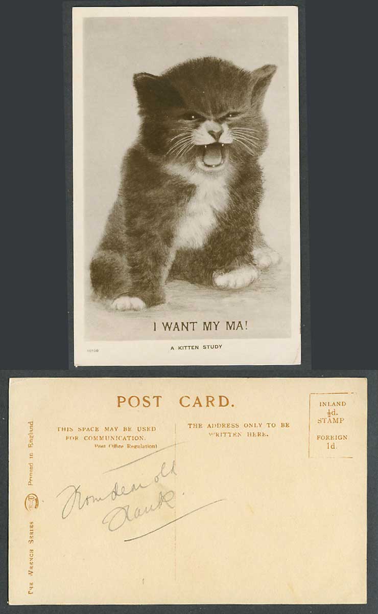 Cat I Want My Ma! A Kitten Study Old Real Photo Postcard Pet Animal Wrench 10108