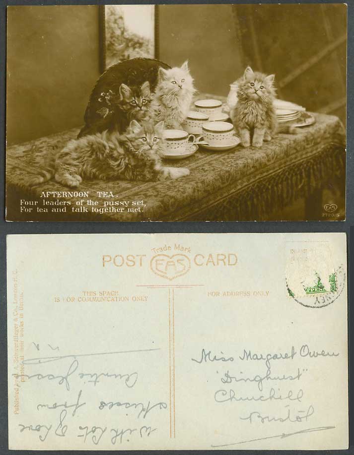 Cats Kittens, Afternoon Tea Four Leaders of Pussy Set For Talk Old R.P. Postcard
