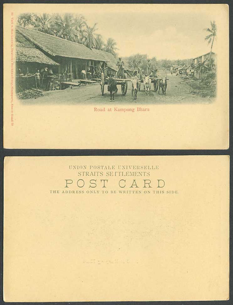 Singapore Old UB Postcard Road at Kampong Bharu Street Scene Bullock Carts House