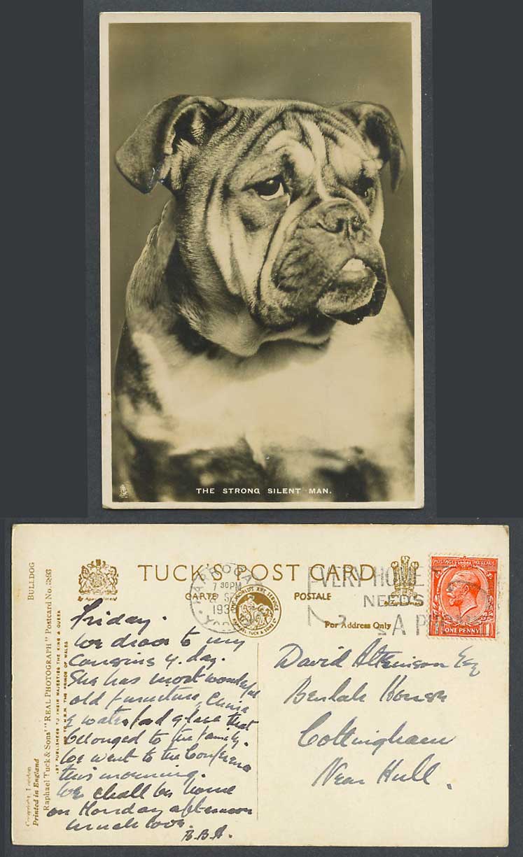 Bulldog Bull Dog, The Strong Silent Man 1933 Old Postcard Tuck's Real Photograph