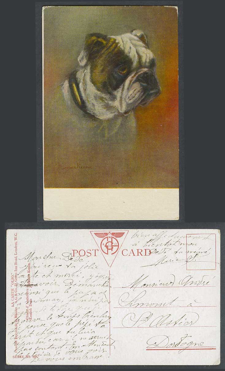 Bulldog Bull Dog Puppy Pet Animal, M. Keene Artist Signed Art Drawn Old Postcard