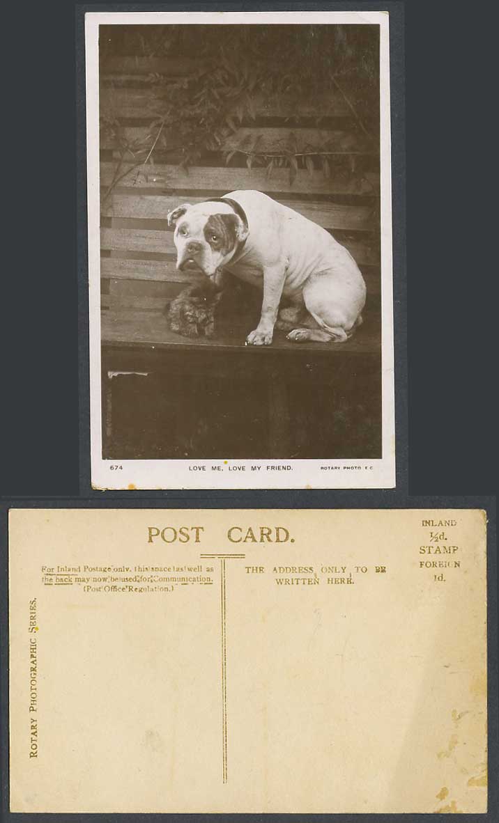 Bulldog Bull Dog Puppy Cat Kitten Love Me Love My Friend Old Real Photo Postcard