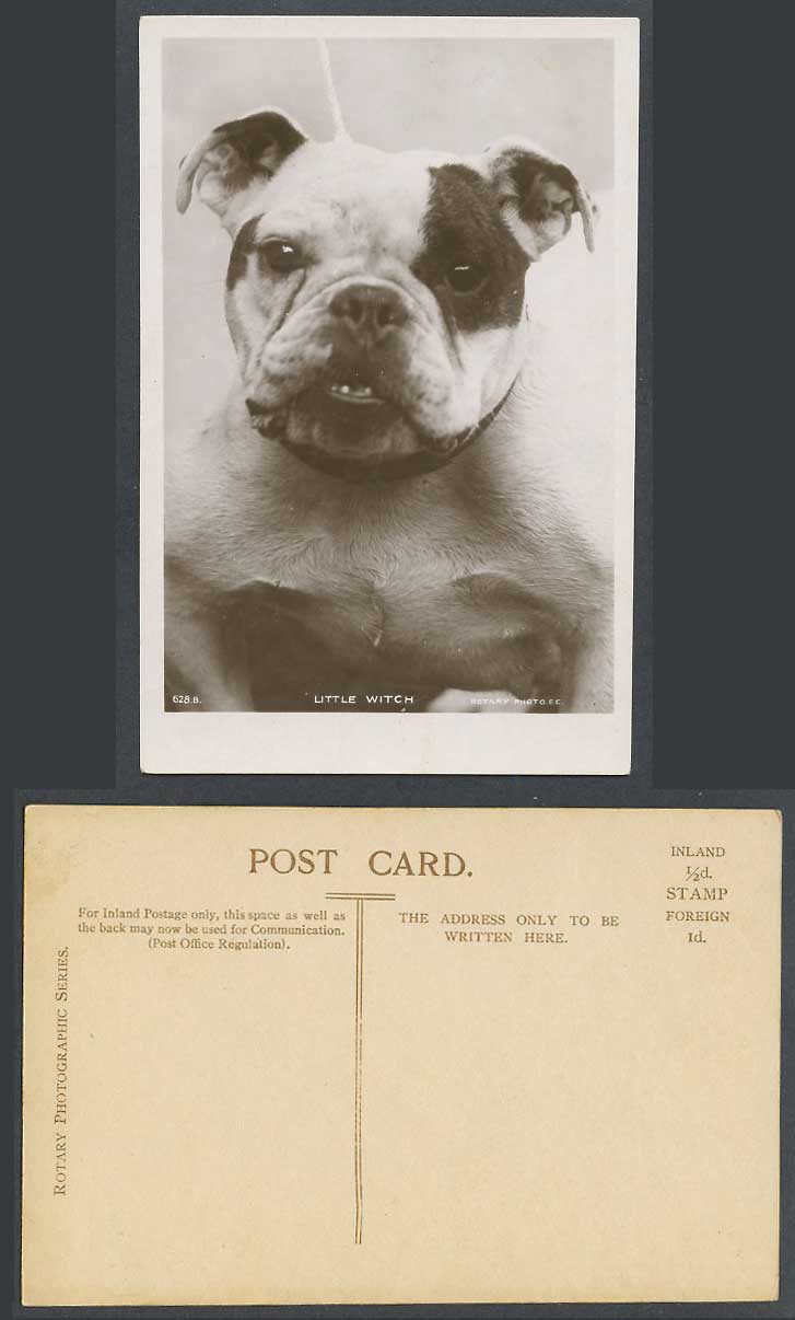 Bulldog Bull Dog Puppy, Little Witch Old Real Photo Postcard Pet Animal, Rotary