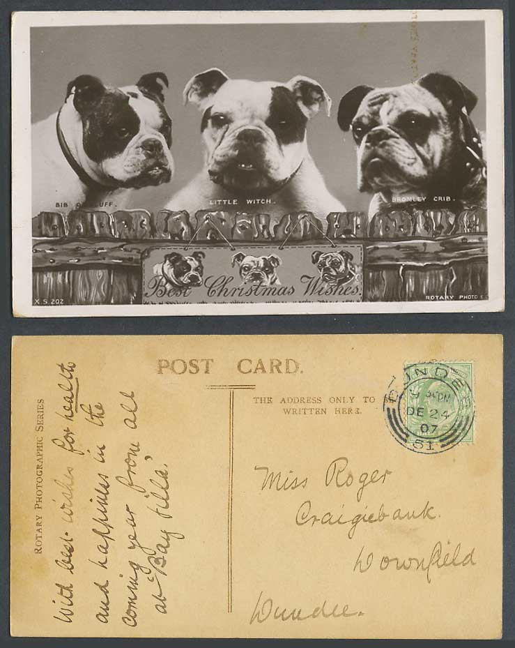 Bulldog Bull Dog Dogs Little Witch Bromley Crib 1907 Old Postcard Christmas Wish
