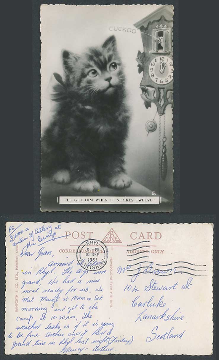 Cat Kitten Cuckoo Clock I'll Get Him When It Strikes Twelve 1961 Old RP Postcard