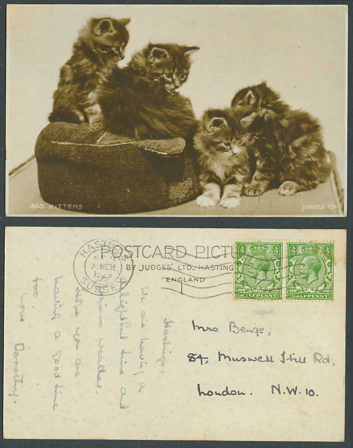 Cats Kittens Ottoman Cushion Cat Kitten Pet 1929 Old Real Photo Postcard Judges'