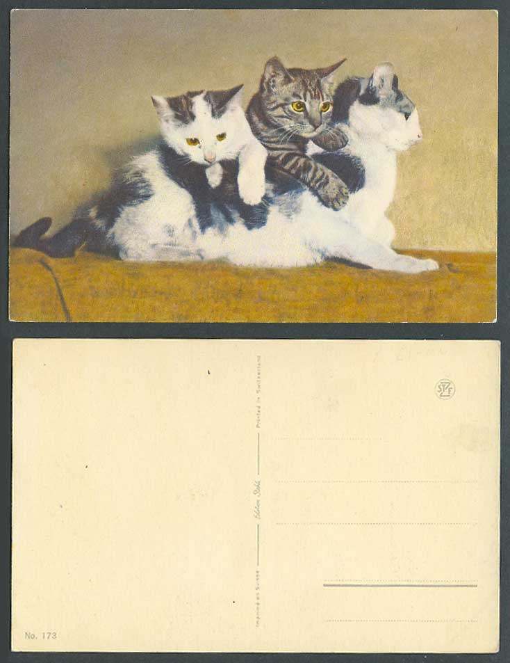 2 Kittens on a Cat, Cats, Kitten Pet Pets Animal Animals Old Colour Postcard 173