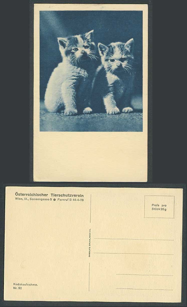 Austria Austrian Animal Protection Association Vienna Cats Kittens Old Postcard
