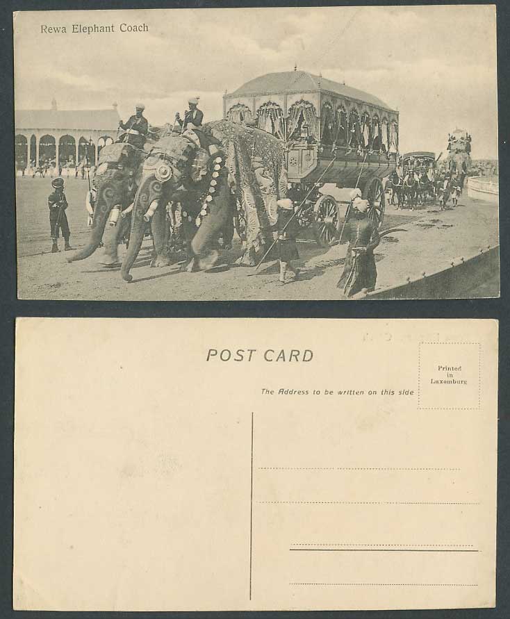 India Old Postcard REWA ELEPHANT COACH, Decorated Elephants Procession on Street