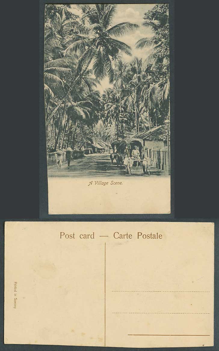India Old Postcard A Village Street Scene Bombay Double Bullock Carts Palm Trees