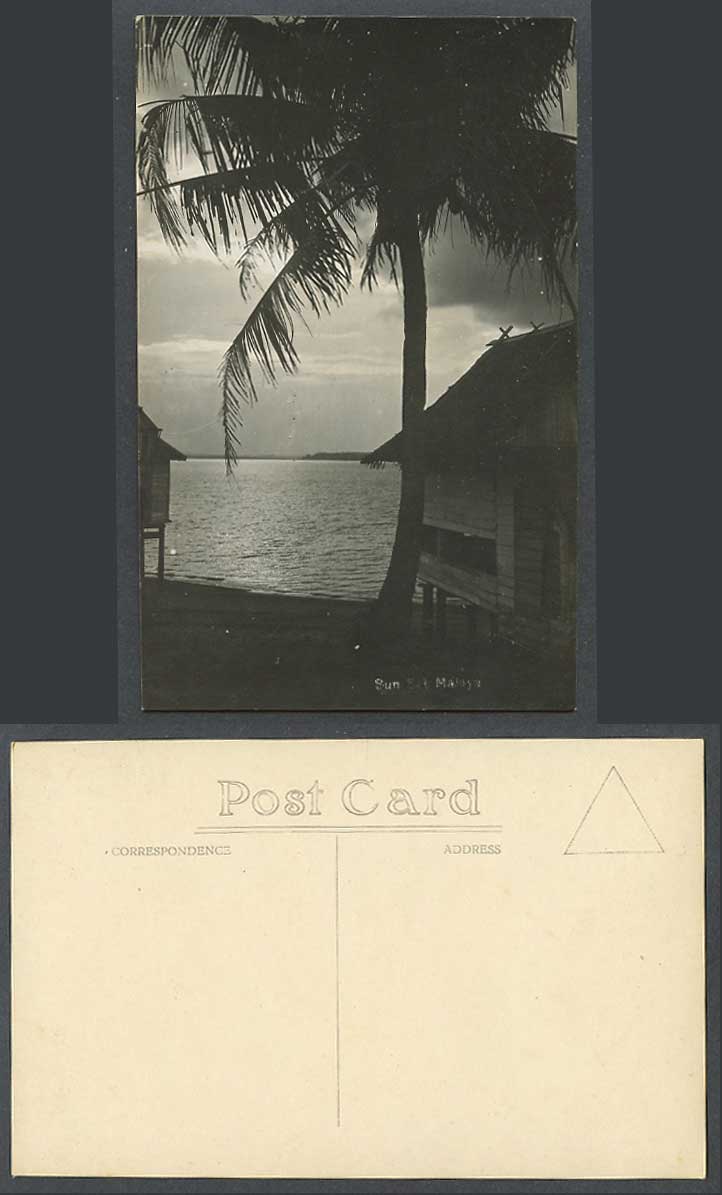 Singapore Sunset Malaya Old Real Photo Postcard Palm Tree Beach Seaside Panorama