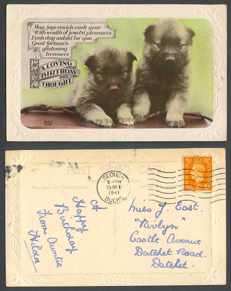 Dogs Dog Puppy Puppies Pets A Loving Birthday Thought 1941 Old Embossed Postcard